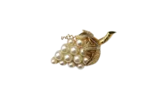 Ambachtelijke emaille broche